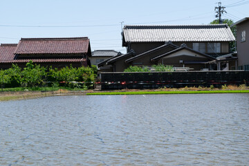 Japanese rural landscape
