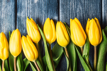 Yellow tulips background. Bouquet gift for mothers day. Vibrant flowers women day. Rustic blue wood table. Bunch of flowers. Fresh floral background. Bright vibrant yellow tulip head.