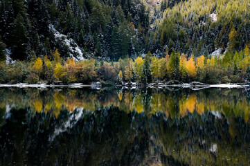 reflection of autumn forest at Lac de Derborence in Valais