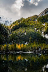reflection of autumn forest at Lac de Derborence in Valais