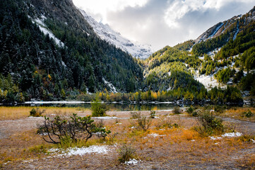 Fototapeta na wymiar shore of Lake Derborence in Valais in autumn