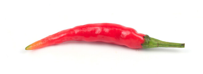 Chili peppers on a white background