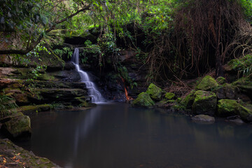 Small Lilly Pilly waterfall at Lane Cove, Sydney, Australia.