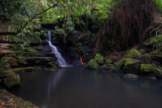 Small Lilly Pilly Waterfall At Lane Cove, Sydney, Australia.