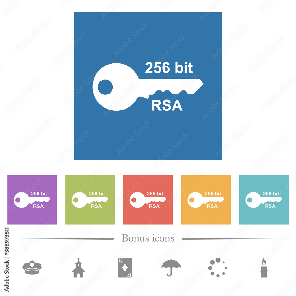 Poster 256 bit rsa encryption flat white icons in square backgrounds