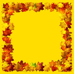 Naklejka na ściany i meble Colorful autumn leaves isolated on yellow background. Border frame of maple leaves.