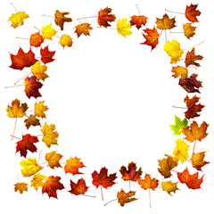 Naklejka na ściany i meble Colorful autumn leaves isolated on white background. Border frame of maple leaves.