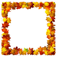 Naklejka na ściany i meble Colorful autumn leaves isolated on white background. Border frame of maple leaves.
