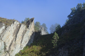 Morning fog in the mountainous taiga area.