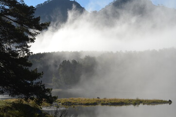 Morning fog in the mountainous taiga area.