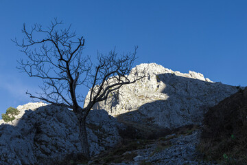 view of rocky mountains in the basque country