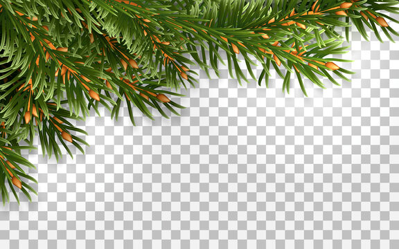 Frame made of branches of evergreen spruce. For Christmas decoration and greeting card design. Isolated on transparent background. Realistic vector illustration.