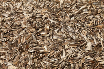 Helianthus annuus - Pipes of sunflower seeds, or marigolds.