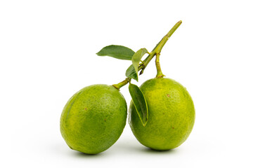 fresh green lime (Citrus aurantifolia Swingle) with  leaves  isolated on white background