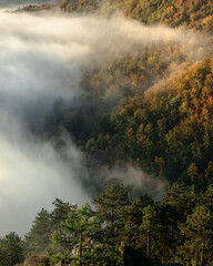 mysterious fog rising over a valley with a colorful autumn forest at sunrise
