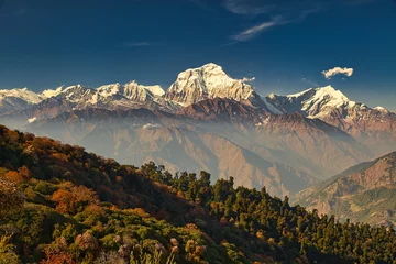 Photo sur Plexiglas Dhaulagiri Vue juste avant le coucher du soleil depuis la montagne panoramique Poon Hill jusqu& 39 au Dhaulagiri de 8000 m de haut au Népal.