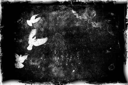 Monochrome landscape with flying birds on black grunge background. Texture of old paper