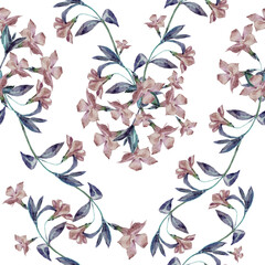 Garden periwinkle painting in watercolor. Bouquet on white background. Floral seamless pattern for decor.