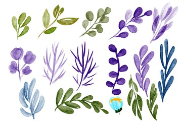 Watercolor set flowers and leaves
