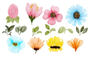Watercolor set flowers and leaves
