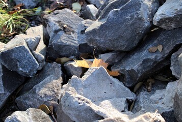 A dry leaf lies among the rocks on a Sunny autumn day