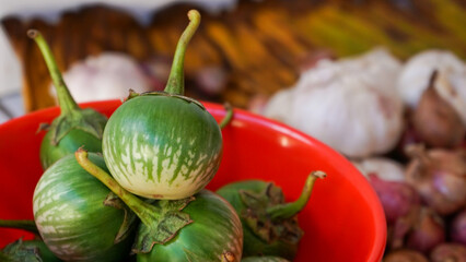 Close up of small green eggplant