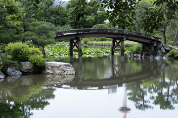 Fototapeta na wymiar Japanese garden with bridge and pond
