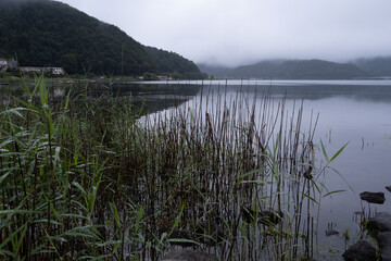 lake in fog
