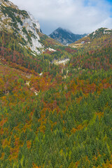 Triglav National Park, Trenta Valley, Julian Alps, Municipality of Bovec, Slovenia, Europe