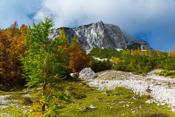 Fall colors, Triglav National Park, Trenta Valley, Julian Alps, Municipality of Bovec, Slovenia,...