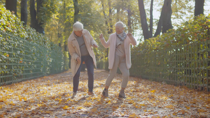 Happy beautiful senior couple dancing in autumn park