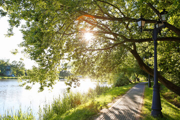 footpath alley of paving slabs in the park