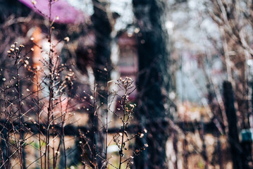 greenhouse through the grid