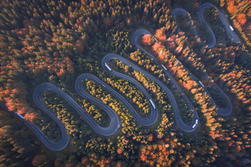 Aerial view of a serpent road at Cheia, Romania, in the heart of Transylvania - obrazy, fototapety, plakaty