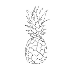 Ananas - one line drawing. Vector illustration continuous line drawing.