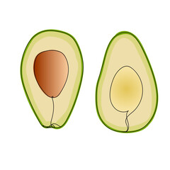 Avocado - one line drawing. Vector illustration continuous line drawing.