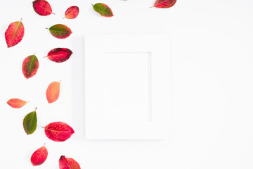 Autumn minimal composition. Colorful leaves, photo frame on white background. Fall leaves. Autumn background. Flat lay, top view, copy space