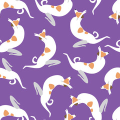 Obraz premium Dog yoga seamless pattern isolated as wallpaper, background, texture for printing on fabric, textile, flat vector stock illustration with jack russell during yoga or stretching
