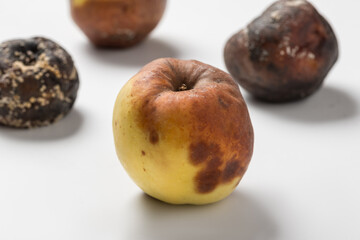 Set of rotten apples on the kitchen windowsill