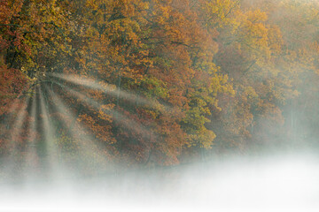 Foggy autumn landscape of the shoreline of Eagle Lake with sunbeams, Fort Custer State Park, Michigan, USA