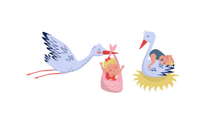 Feathered Stork with Long Bill Carrying Baby Vector Set