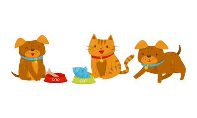 Dog and Cat Feeding Together and Playing Vector Set