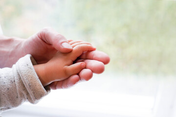 a parent holds the hand of a small child