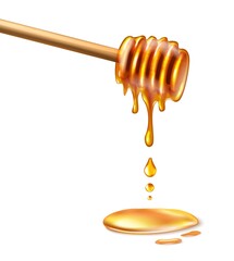 3d realistic vector honey comb wooden spoon in honey and drops of honey.