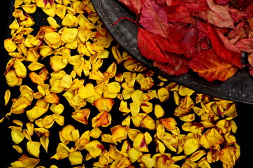 dried yellow rose petals on a black background and Twisted red leaves on a clay plate