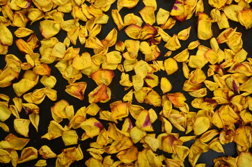 dried yellow rose petals on a black background