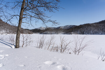 雪が降り積もった琵琶池