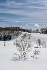 雪に覆われた田ノ原湿原