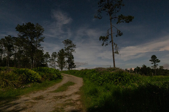 Noche de estrella en el Campo