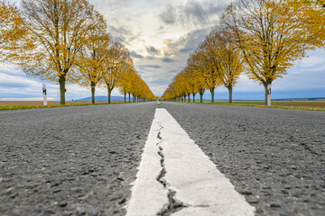 autumn road